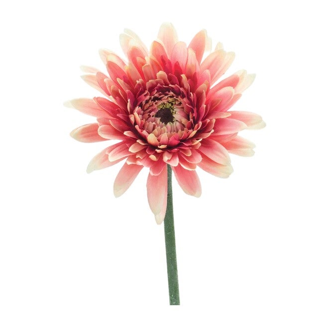 Gerbera Daisy Stem (Set of 6) 22 inchesH Polyester, PINK/GREEN, hi-res image number 0