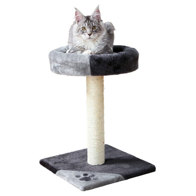 Tarifa Scratching Post, , on-hover image number null