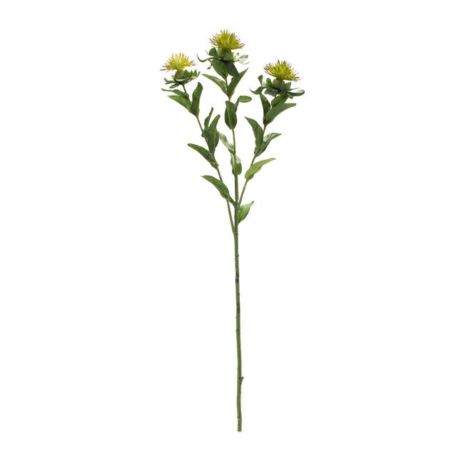 Thistle Floral Spray (Set Of 6), , on-hover image number null