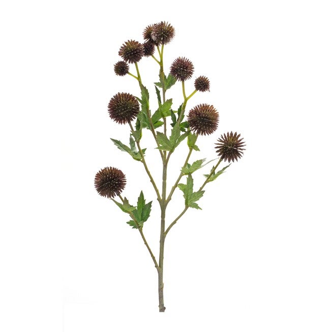 Allium Spray (Set of 6) 26 inchesH Plastic/Polyester, BROWN/GREEN, alternate image number null