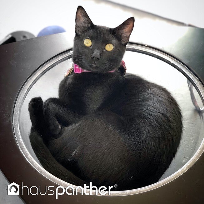 Hauspanther TriPod - Cat Lounge Pod, , alternate image number null