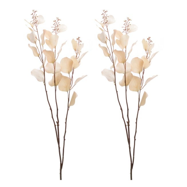 Seeded Eucalyptus Stem (Set of 6), BEIGE, alternate image number null