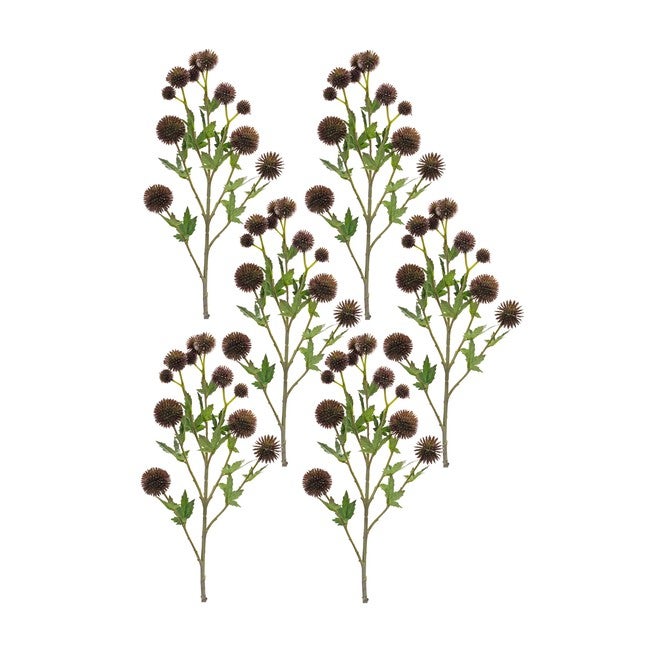 Allium Spray (Set of 6) 26 inchesH Plastic/Polyester, BROWN/GREEN, hi-res image number null
