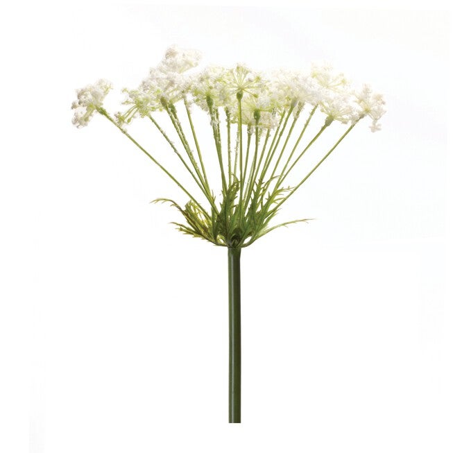 Queen Anne's Lace Stem (Set of 2) 29 inchesH Plastic, GREEN/WHITE, hi-res image number null