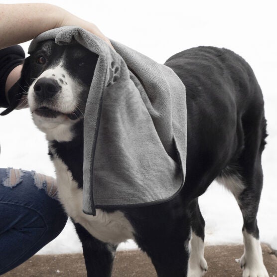 Embroidered Microfiber Pet Towel, Small, 3 Pieces, , alternate image number null