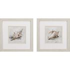 Seashell Textures Framed Wall Décor, Set Of 2, NEUTRAL, hi-res image number null