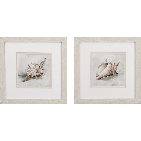 Seashell Textures Framed Wall Décor, Set Of 2, NEUTRAL, hi-res image number null