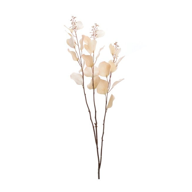 Seeded Eucalyptus Stem (Set of 6), BEIGE, hi-res image number null