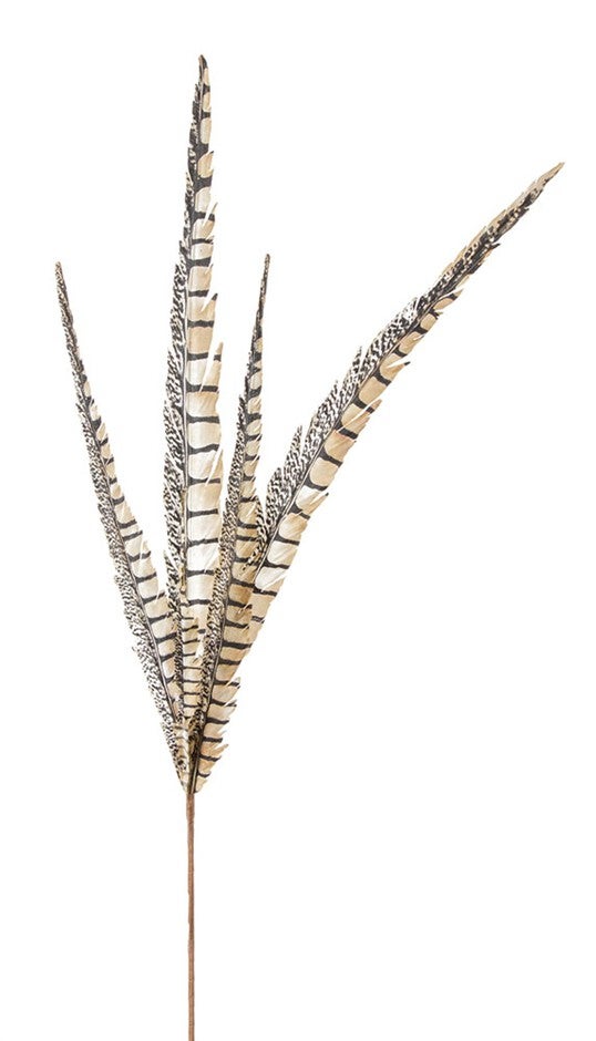 Faux Feather 29 inchesH (Set of 12) Polyester, BROWN/BLACK/BEIGE, hi-res image number null