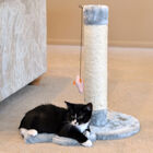 Mouse Shape Real Wood Cat Scratcher Toy, Sisal Scratching Post, , on-hover image number null