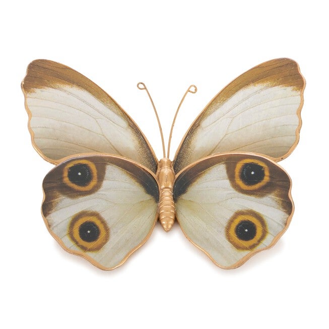 Amber Butterfly and Moth Shelf Sitter (Set of 2), WHITE/BROWN/ORANGE, alternate image number null