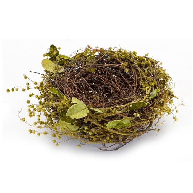 Nest and Nest with Eggs (Set of 4) 7 inchesD x 3.5 inchesH Natural/Foam, GREEN/BROWN, alternate image number null