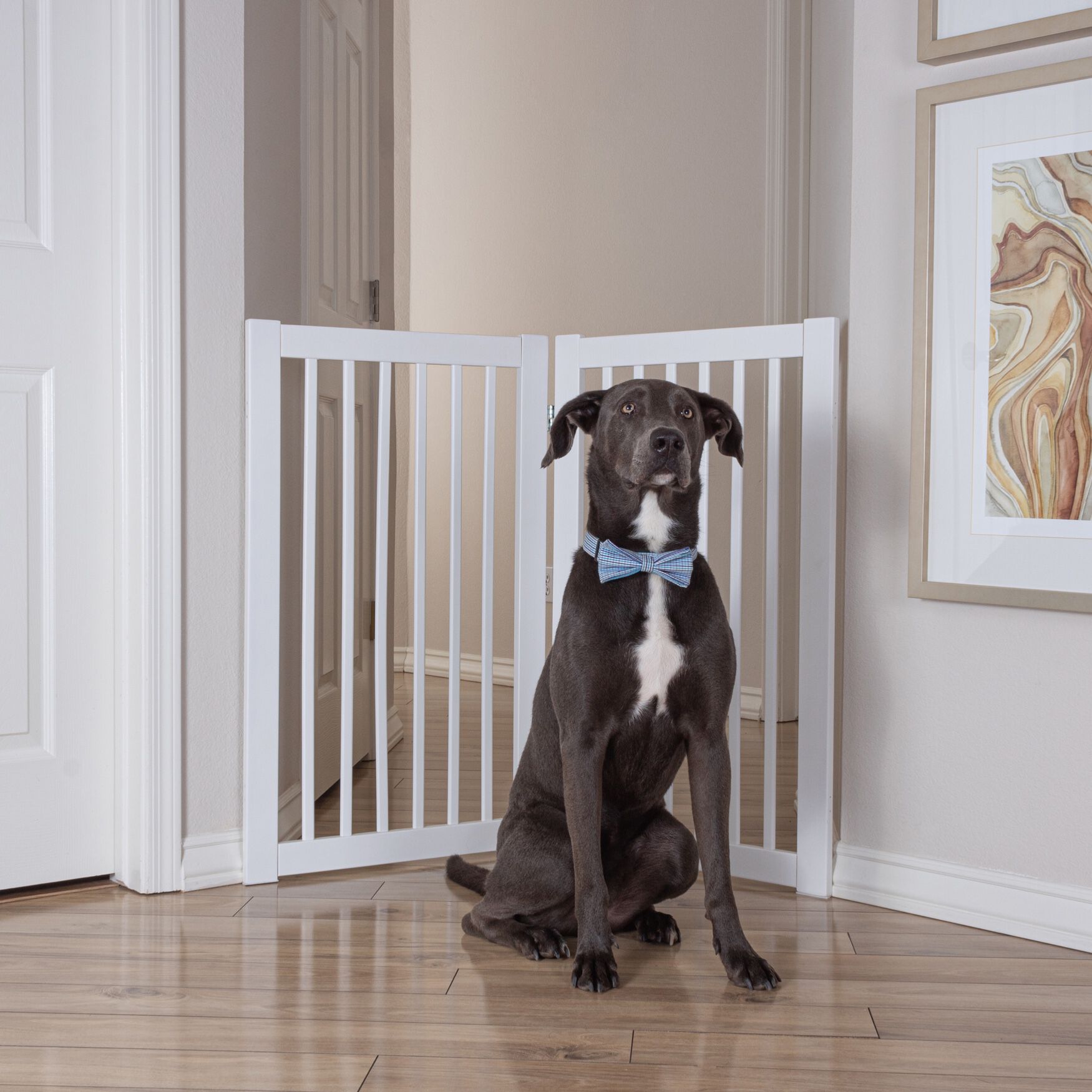 360 Configurable Pet Gate Extension Kit Brylane Home