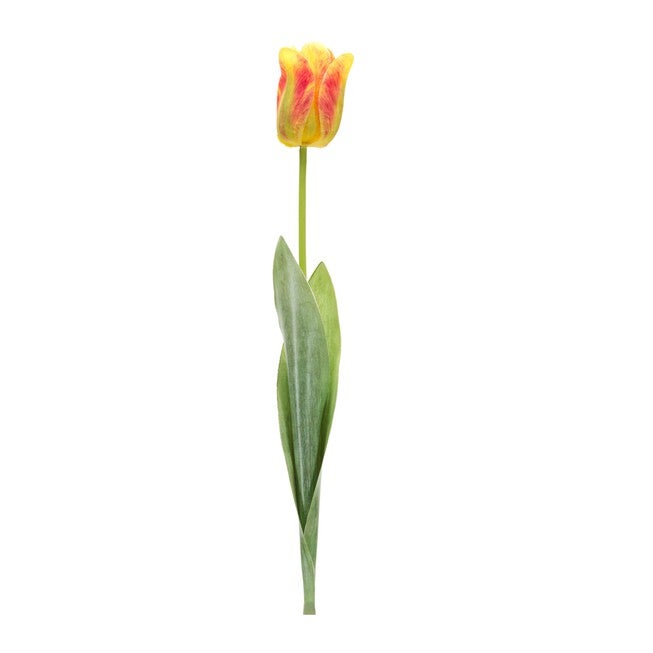 Tulip Stem (Set of 6) 27 inchesH Polyester/Plastic, GREEN/YELLOW, hi-res image number null