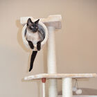 62" Real Wood Cat Tree With Scratch Posts, Hammock, , alternate image number null