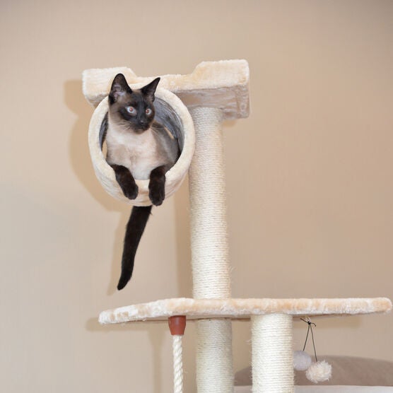 62" Real Wood Cat Tree With Scratch Posts, Hammock, , alternate image number null