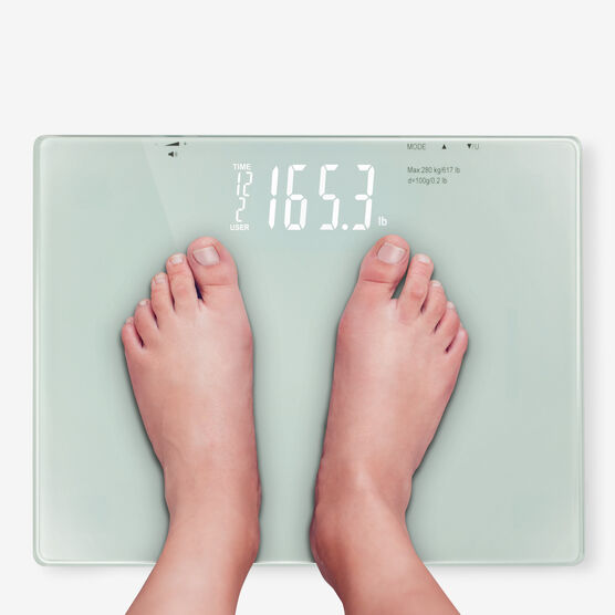 Deluxe Talking Scale, , alternate image number null