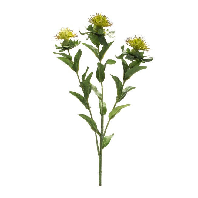 Thistle Floral Spray (Set Of 6), GREEN, hi-res image number null