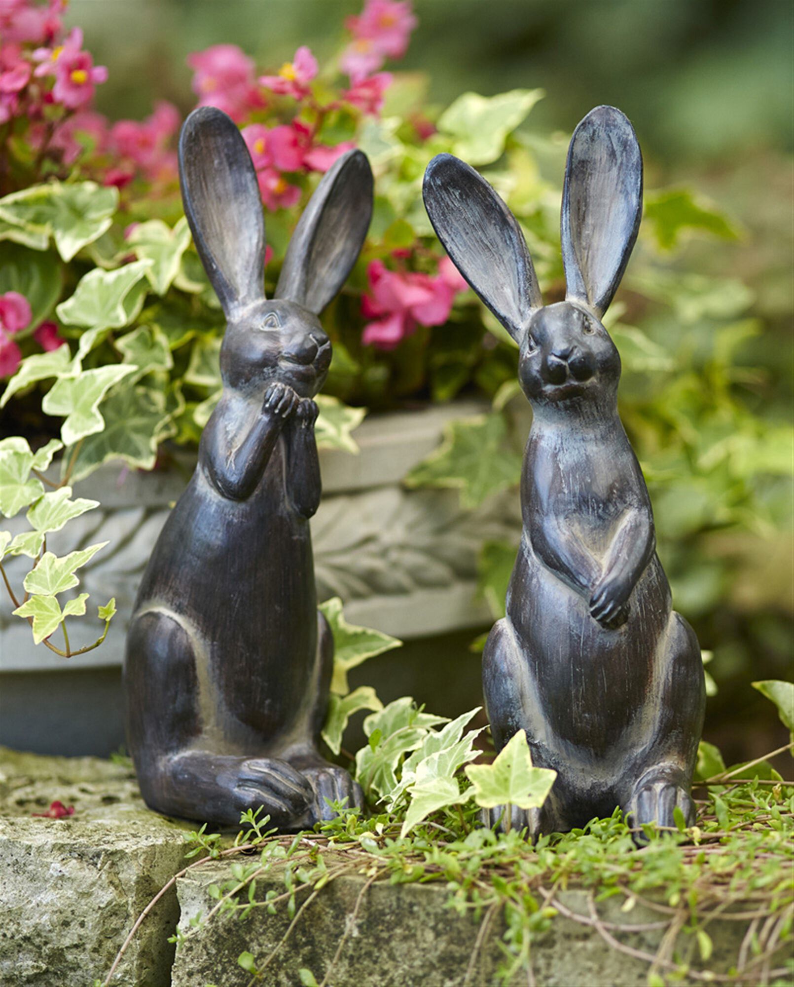 Brown Long Ear Rabbit Statue (Set of 2)
