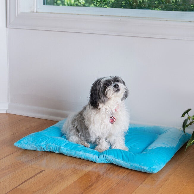 Medium Pet Bed Mat , Dog Crate Soft Pad With Poly Fill Cushion, , on-hover image number null