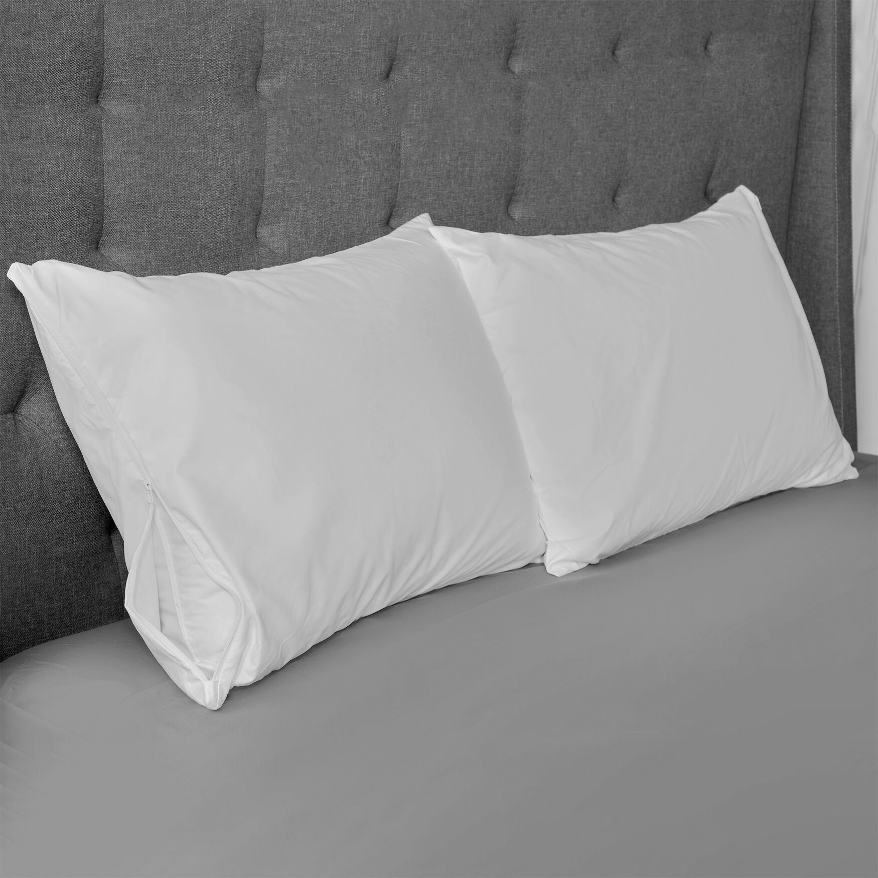 Allerease organic pillow protector on sale