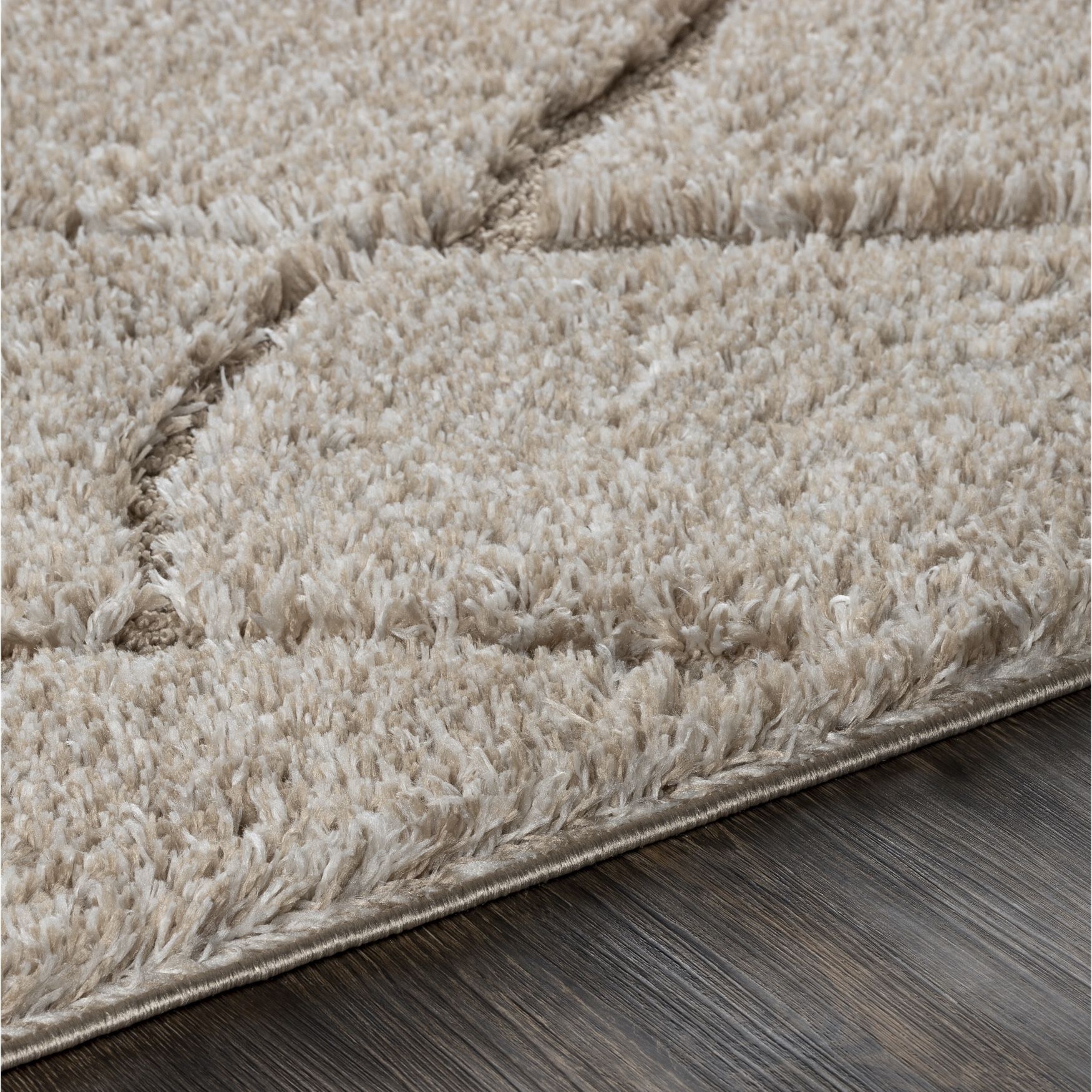 Elenor Enr-2300 Rug, , alternate image number 4