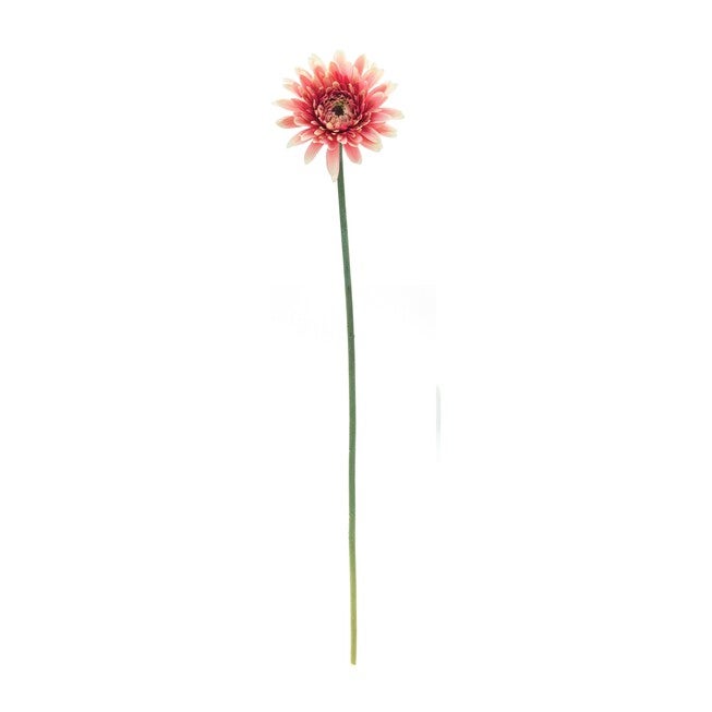 Gerbera Daisy Stem (Set of 6) 22 inchesH Polyester, PINK/GREEN, alternate image number 1
