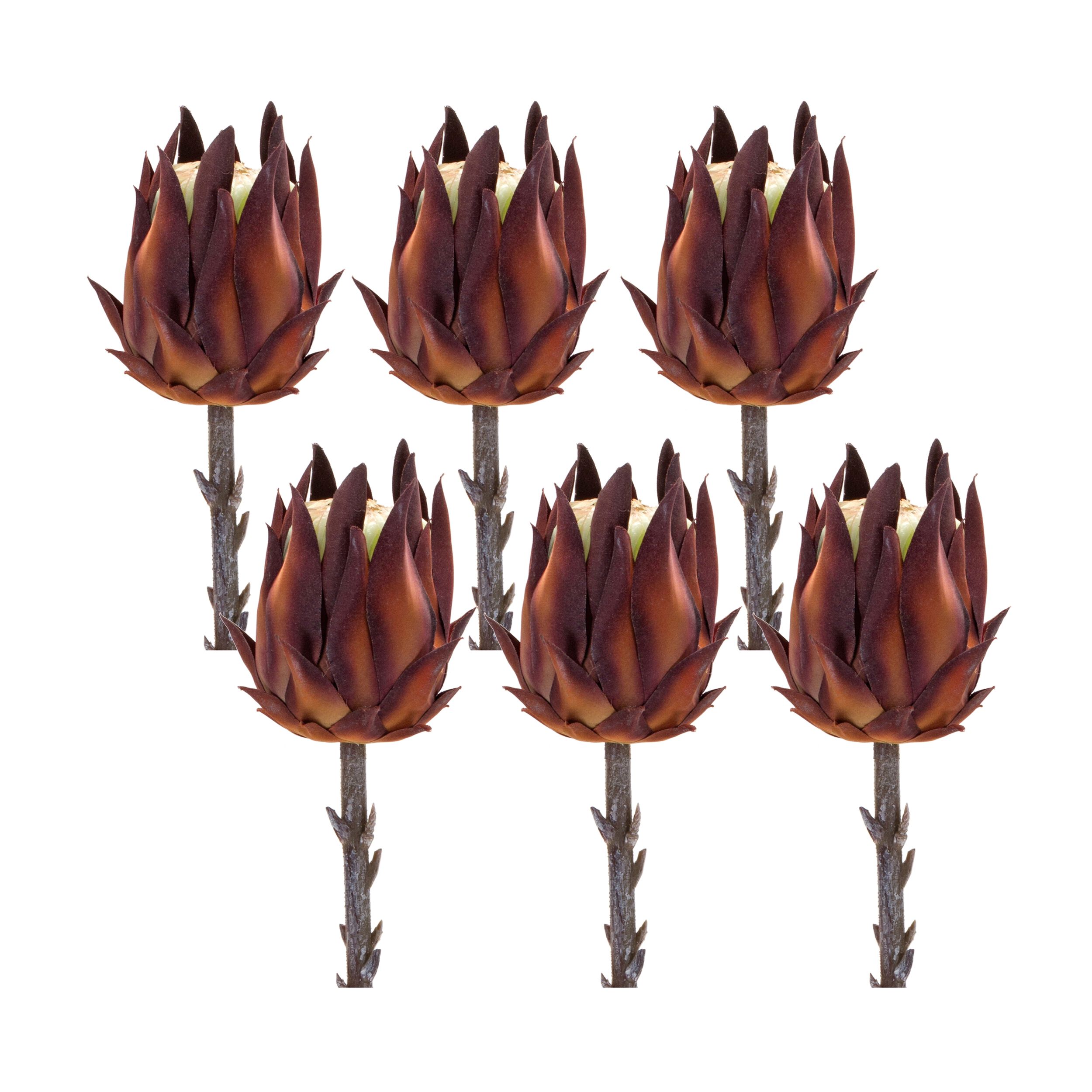 Protea Stem (Set of 6) 20 inchesH Plastic, ORANGE BROWN, hi-res image number 0