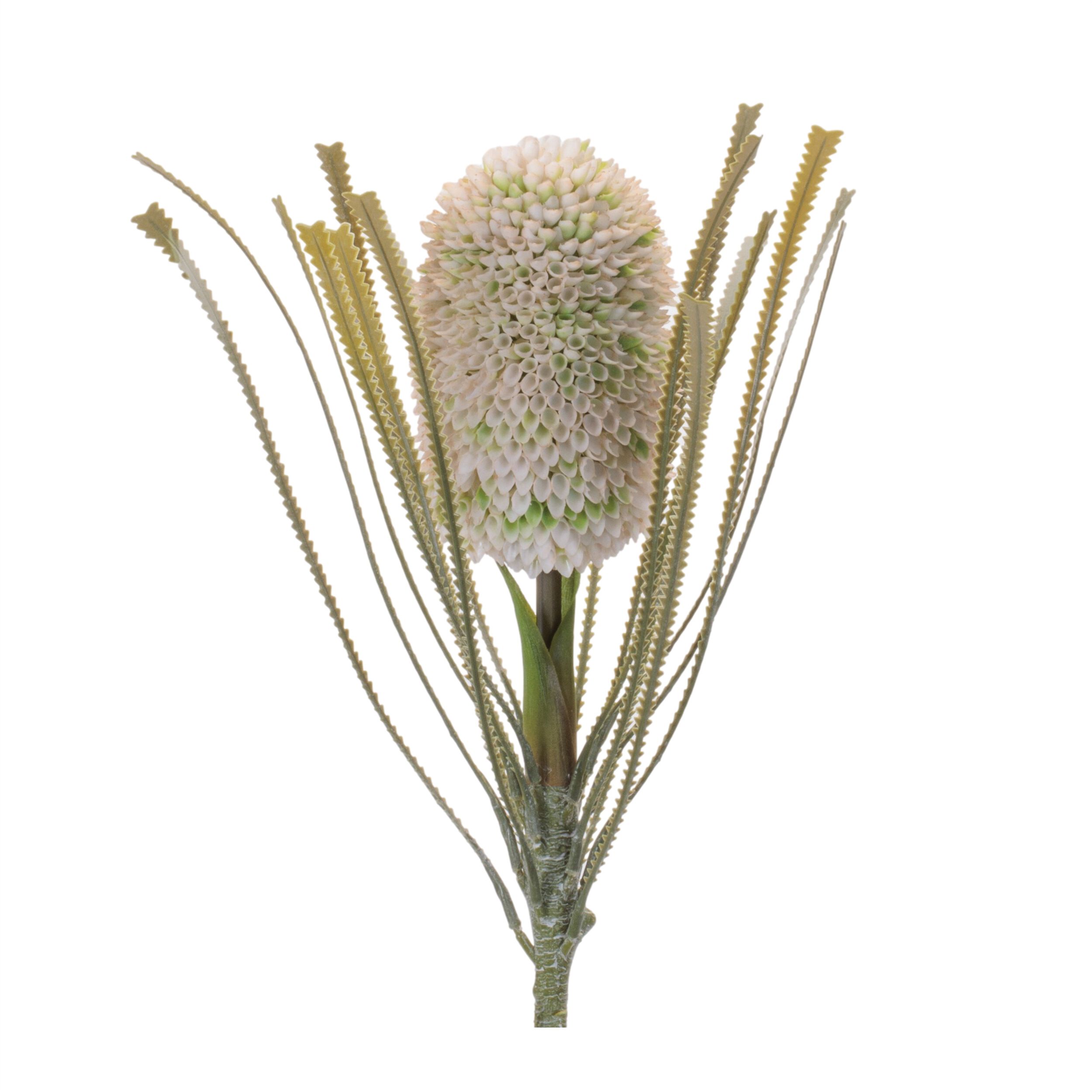 Protea Floral Stem Set of 2, GREEN, alternate image number 2