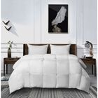 kathy ireland Ultra Soft Down Alternative Comforter, WHITE, hi-res image number 0