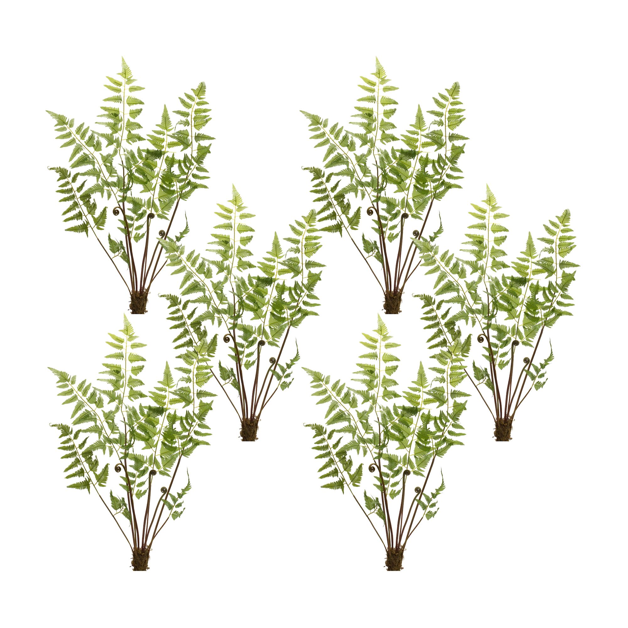 Fern Bundle (Set of 6) 37 inchesH Polyester, GREEN/BROWN, hi-res image number 0