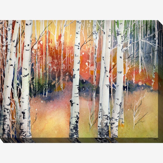 Colorado Aspens Wall Art, MULTI, hi-res image number null