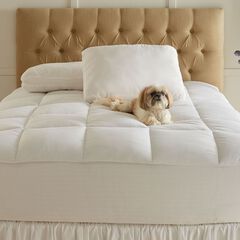 Gel Touch Bed Tite Topper and Pillows, 