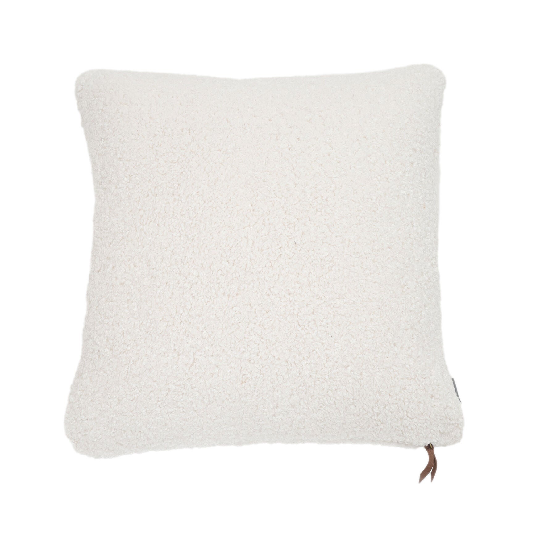 Teddy Sherpalux Plush Solid Square Pillow