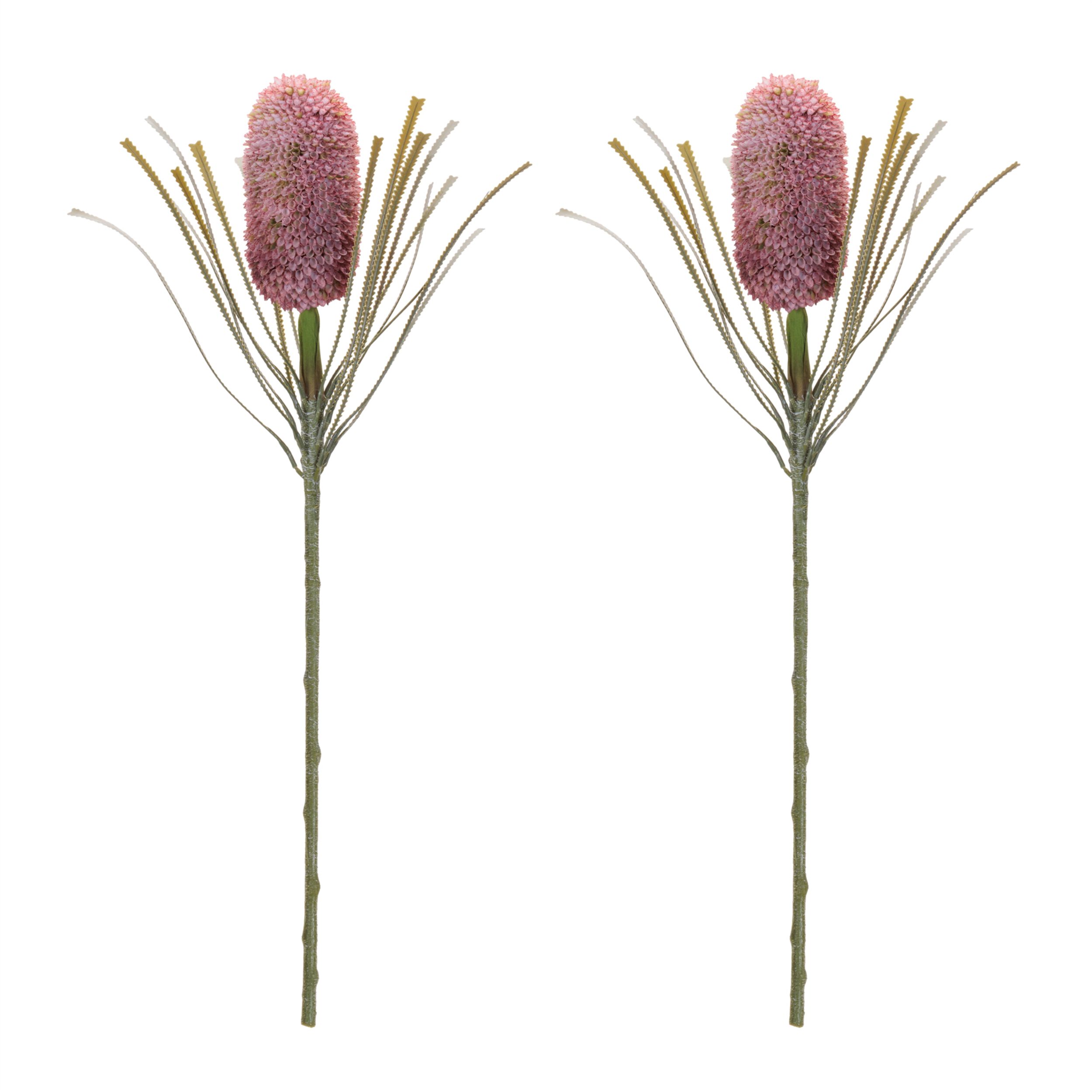 Protea Floral Stem Set of 2, RED GREEN, alternate image number 2