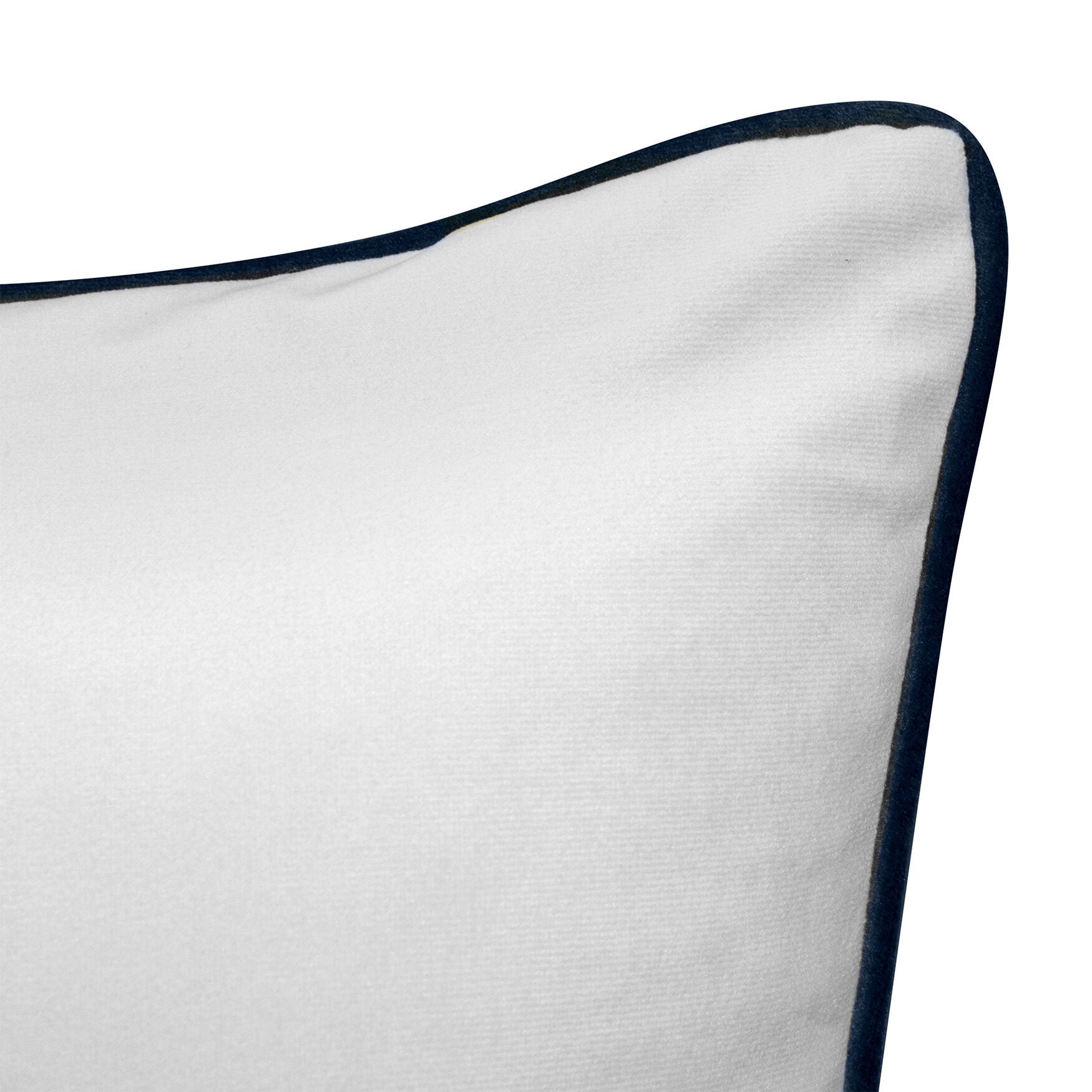 Edie@Home Velvet Bold Butterfly Decorative Pillow Dec Pillow, , alternate image number 17