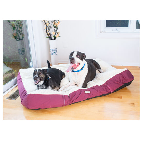Double Extra Large Pet Dog Bed Mat With Poly Fill Cushion And Removable Cover, , alternate image number null