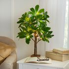 23½"H Pre-Lit Tabletop Ficus Tree, GREEN, hi-res image number null