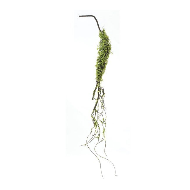 Moss Foliage Vine Branch (Set of 2), GREEN/BROWN, hi-res image number null