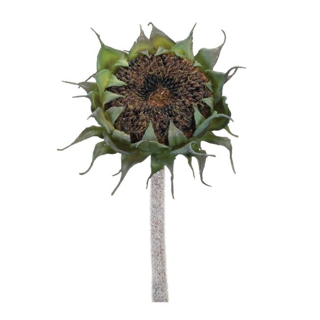 Brown Sunflower Stem (Set of 6), BLACK/GREEN, hi-res image number null