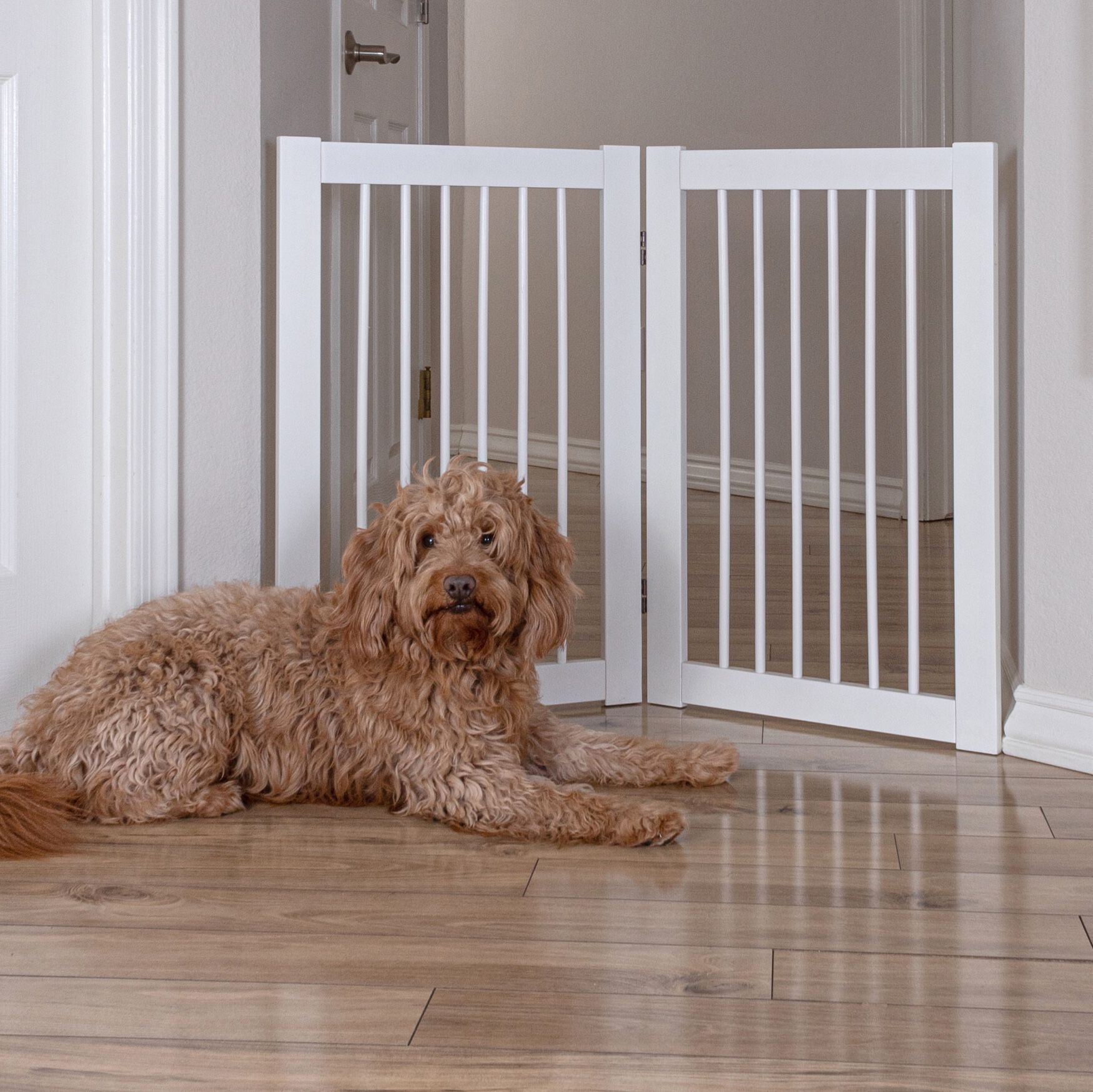 360 Configurable Pet Gate Extension Kit Brylane Home