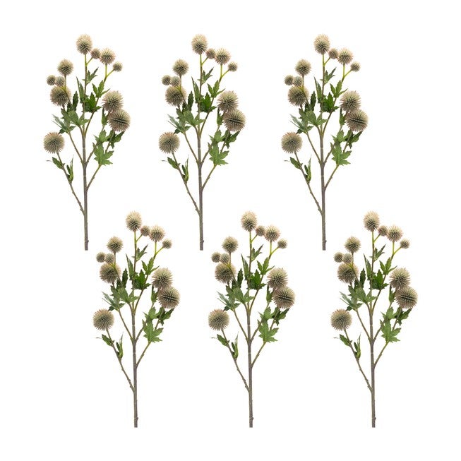 Allium Spray (Set of 6) 26 inchesH Plastic/Polyester, GREEN/BROWN, hi-res image number null