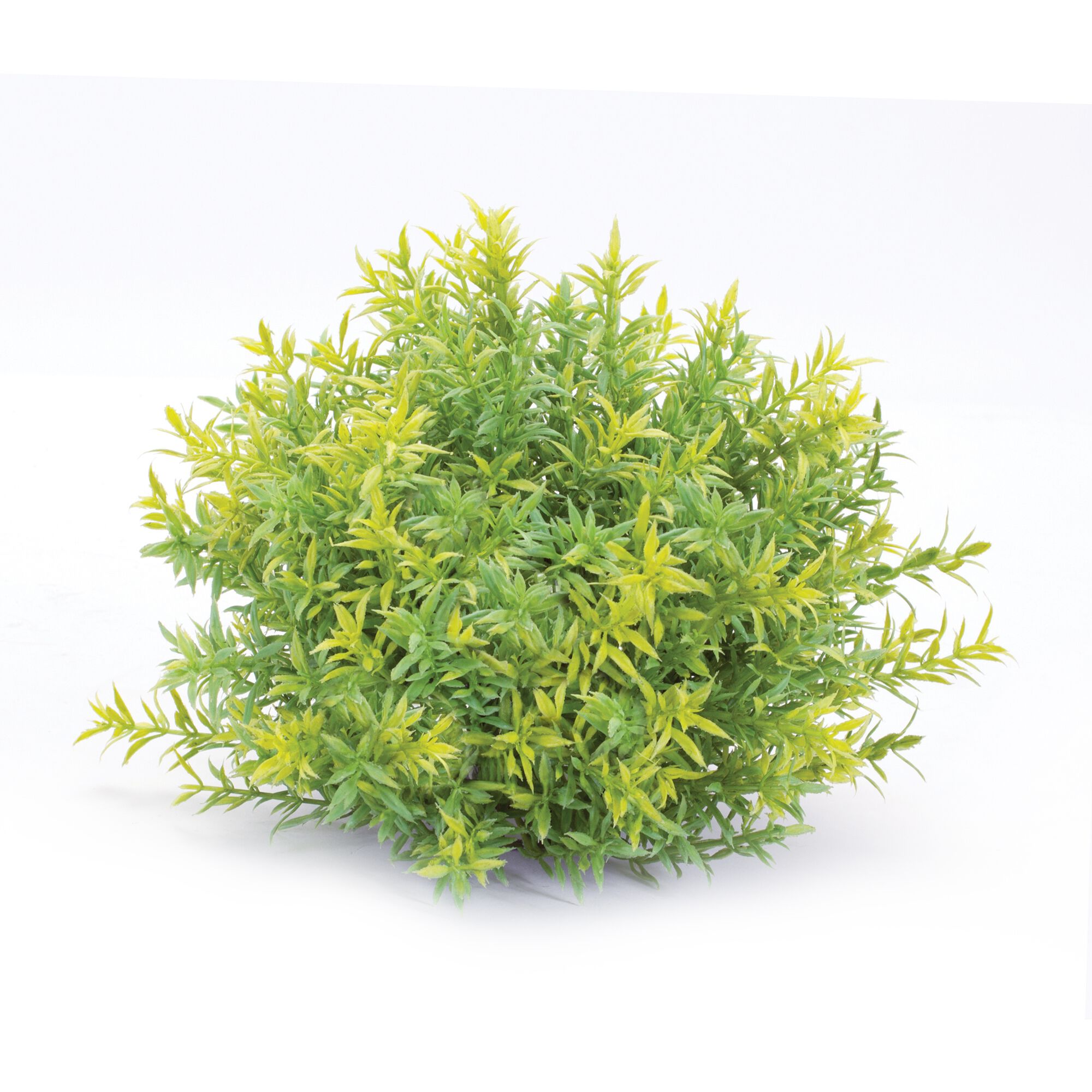 Half Orb (Set of 6) 10 inchesD x 8 inchesH Plastic, GREEN, alternate image number 3