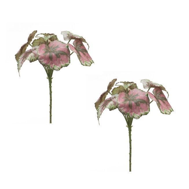 Begonia Leaf (Set of 2) 11.5 inchesH Polyester, RED/GREEN, hi-res image number null