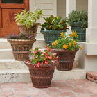Set of 2 Large Romantic Planters, , on-hover image number 1