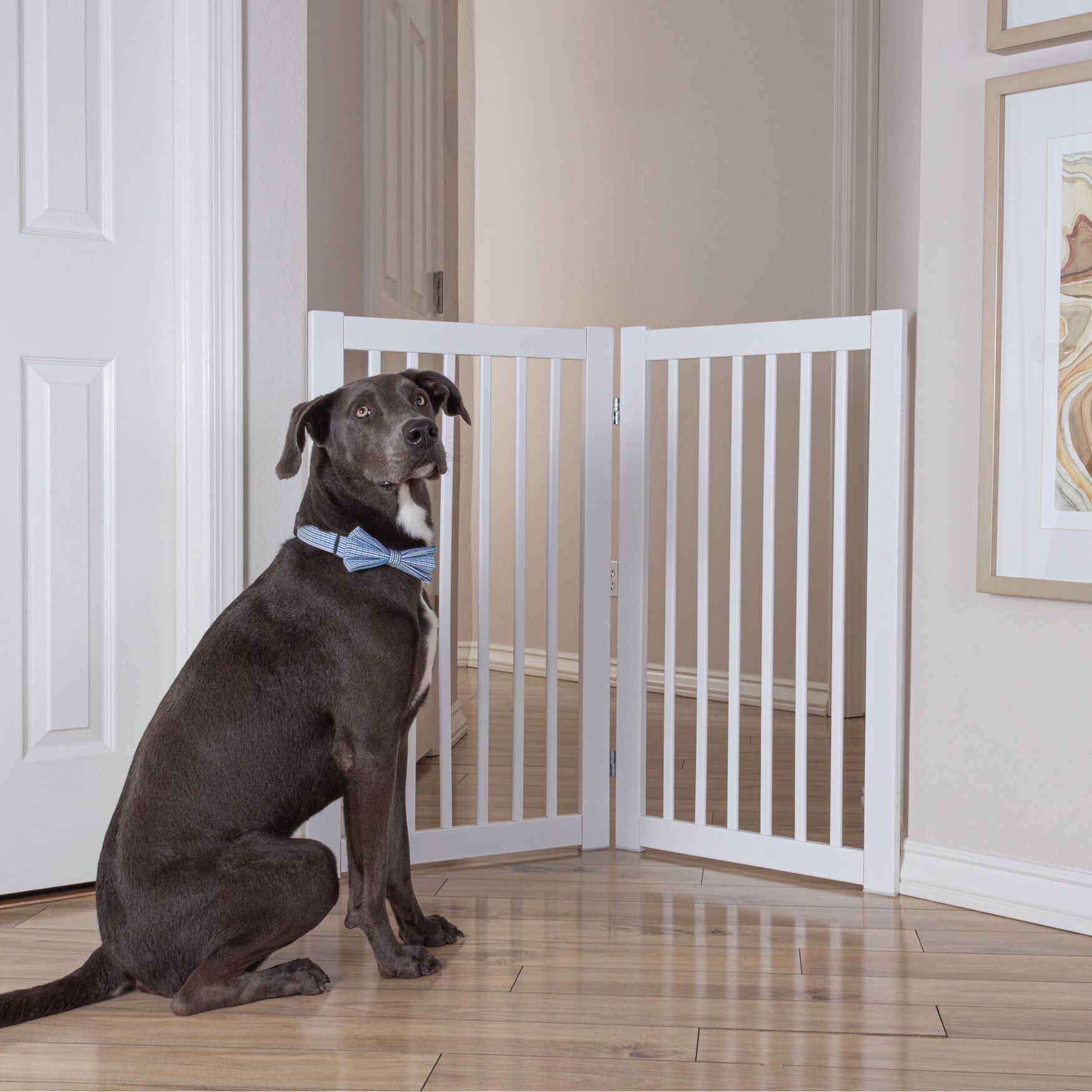 Configurable dog gate outlet