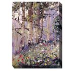 ASPEN SPRING, MULTI, hi-res image number null