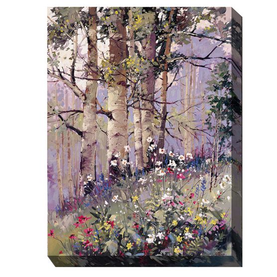 ASPEN SPRING, MULTI, hi-res image number null