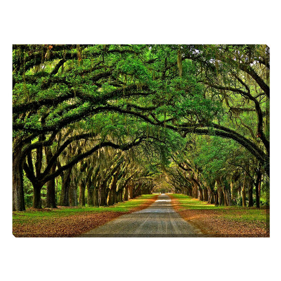 Avenue of The Oaks Outdoor Canvas Art, MULTI, hi-res image number null