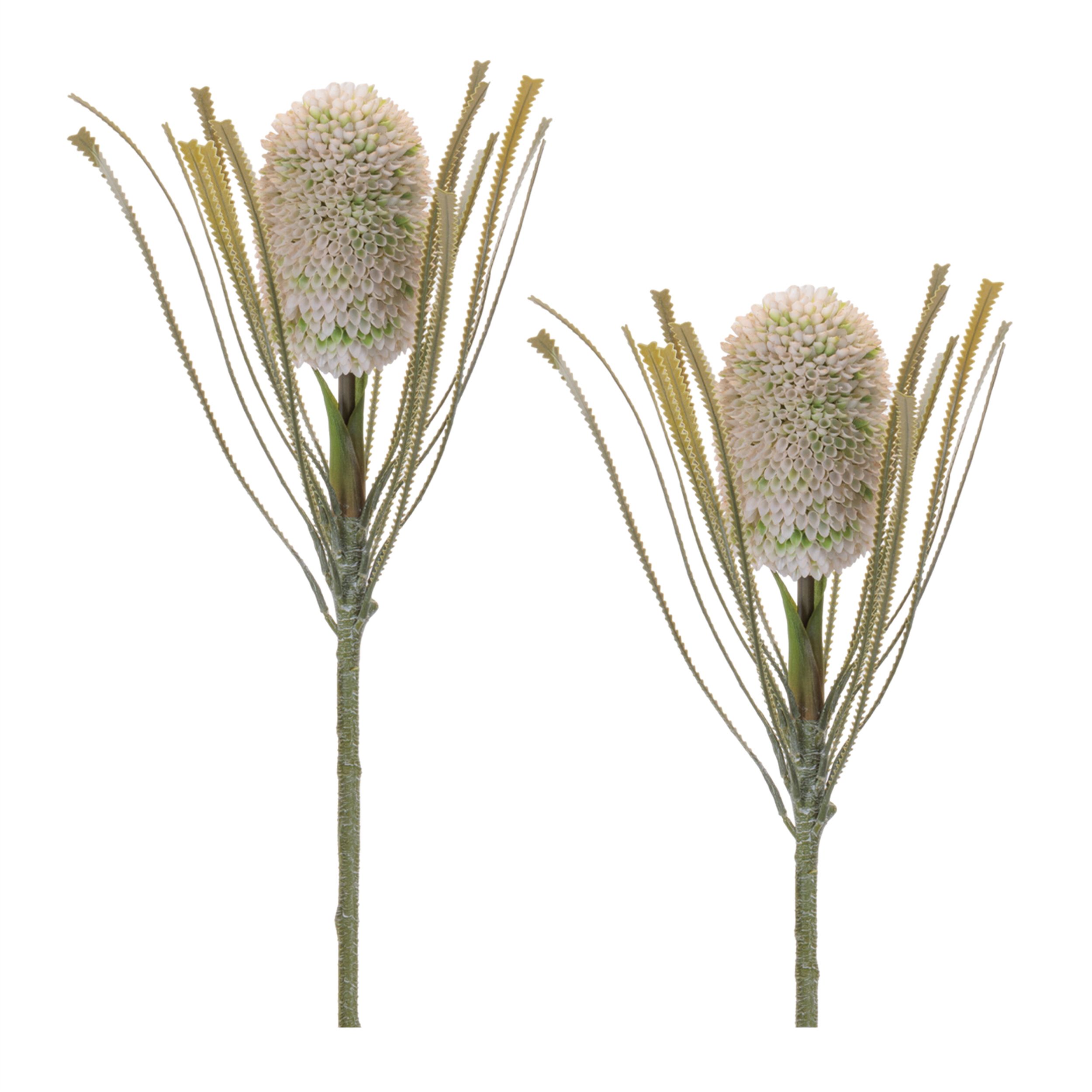 Protea Floral Stem Set of 2, GREEN, hi-res image number 0